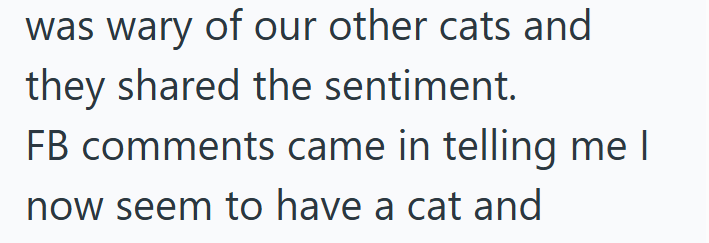 was wary of our other cats and they shared the sentiment. FB comments came in telling me I now seem to have a cat and