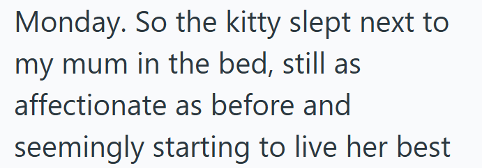 Monday. So the kitty slept next to my mum in the bed, still as affectionate as before and seemingly starting to live her best