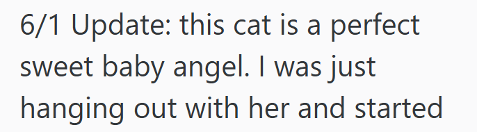 6/1 Update: this cat is a perfect sweet baby angel. I was just hanging out with her and started