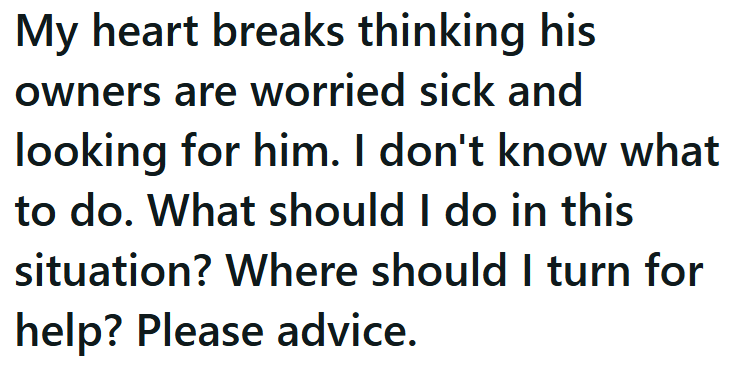 My heart breaks thinking his owners are worried sick and looking for him. I don't know what to do. What should I do in this situation? Where should I turn for help? Please advice.