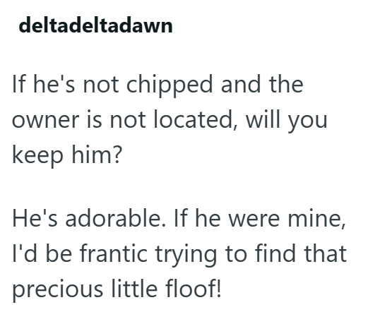 deltadeltadawn If he's not chipped and the owner is not located, will you keep him? He's adorable. If he were mine, I'd be frantic trying to find that precious little floof!