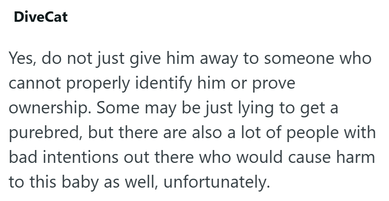 DiveCat Yes, do not just give him away to someone who cannot properly identify him or prove ownership. Some may be just lying to get a purebred, but there are also a lot of people with bad intentions out there who would cause harm to this baby as well, unfortunately.