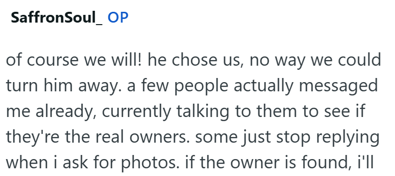 SaffronSoul OP of course we will! he chose us, no way we could turn him away. a few people actually messaged me already, currently talking to them to see if they're the real owners. some just stop replying when i ask for photos. if the owner is found, i'll