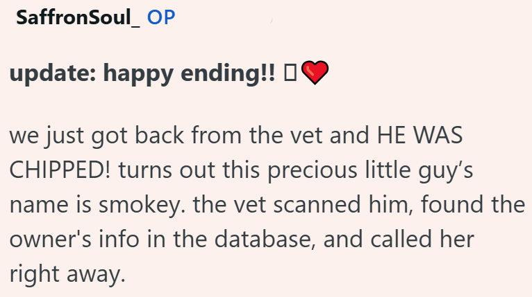 SaffronSoul OP update: happy ending!! ❤ we just got back from the vet and HE WAS CHIPPED! turns out this precious little guy's name is smokey. the vet scanned him, found the owner's info in the database, and called her right away.