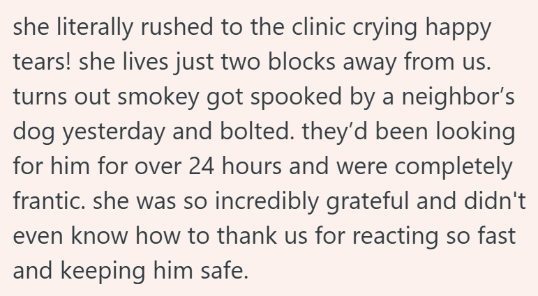 she literally rushed to the clinic crying happy tears! she lives just two blocks away from us. turns out smokey got spooked by a neighbor's dog yesterday and bolted. they'd been looking for him for over 24 hours and were completely frantic. she was so incredibly grateful and didn't even know how to thank us for reacting so fast and keeping him safe.