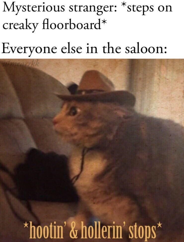 Mysterious stranger: *steps on creaky floorboard* Everyone else in the saloon: ulmearrkk *hootin' & hollerin' stops*