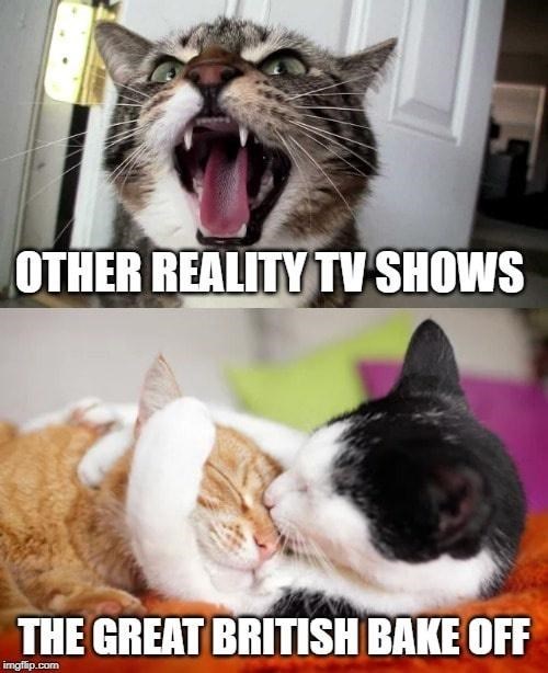 OTHER REALITY TV SHOWS THE GREAT BRITISH BAKE OFF imgflip.com