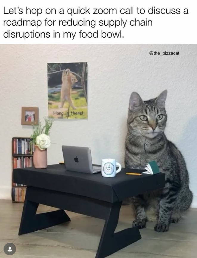 Let's hop on a quick zoom call to discuss a roadmap for reducing supply chain disruptions in my food bowl. Hang in there! @the_pizzacat