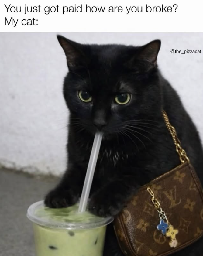 You just got paid how are you broke? My cat: @the_pizzacat