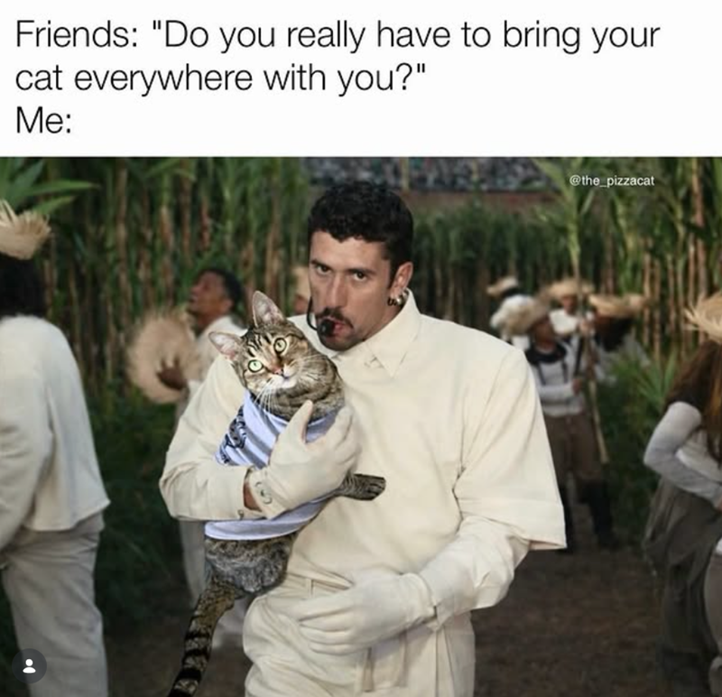 Friends: "Do you really have to bring your cat everywhere with you?" Me: @the_pizzacat