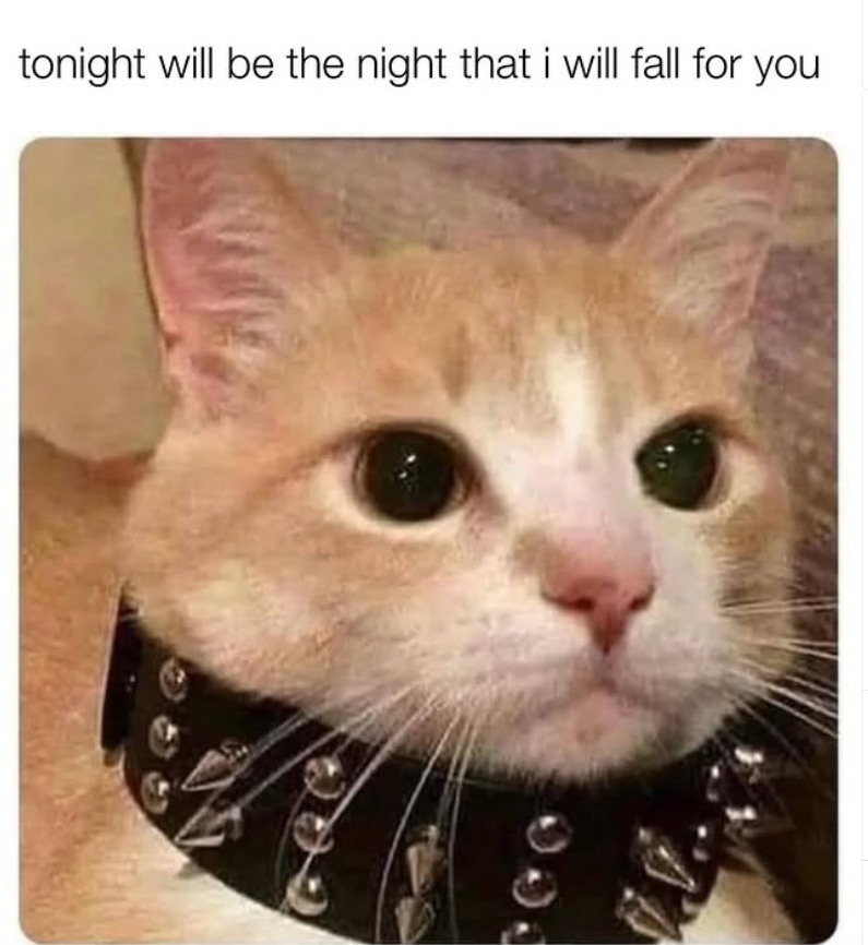 tonight will be the night that i will fall for you