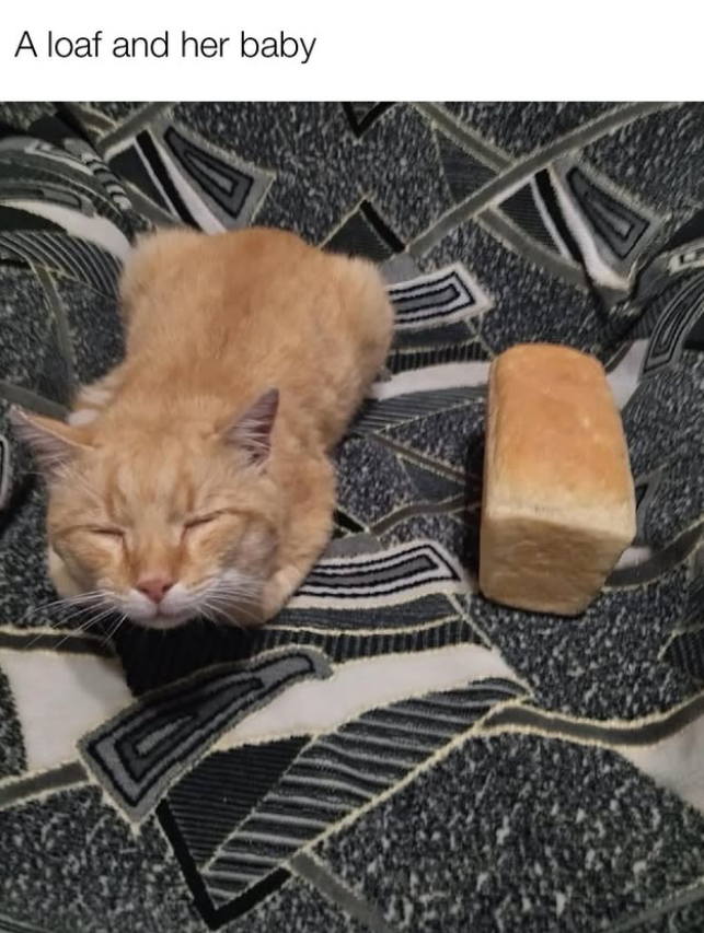 A loaf and her baby