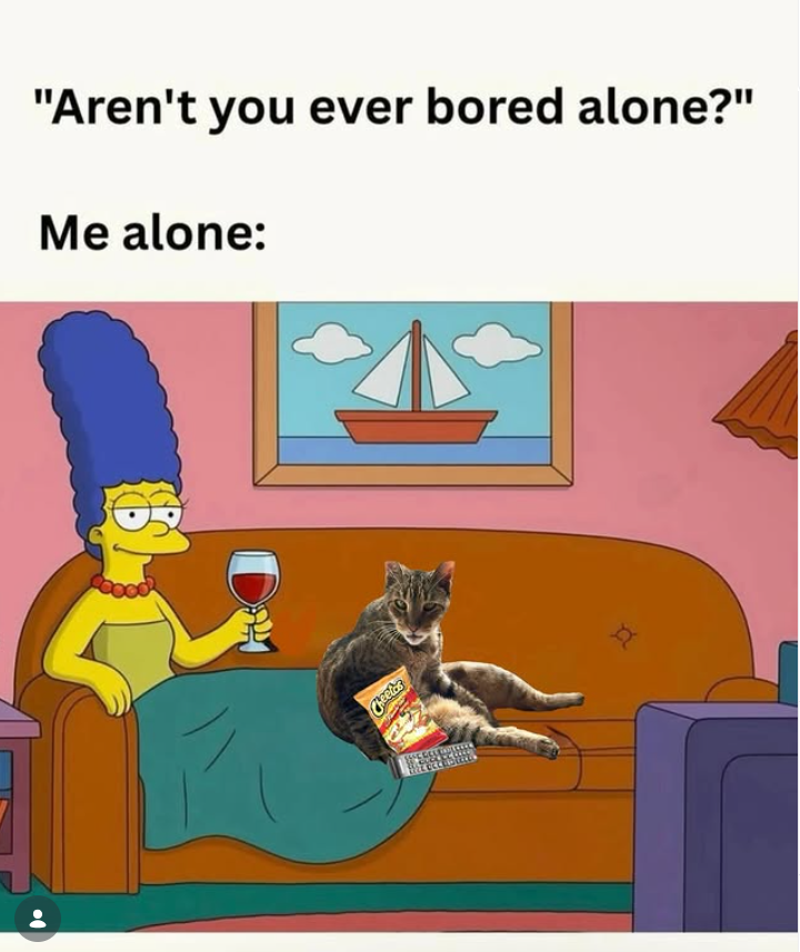 "Aren't you ever bored alone?" Me alone: DH Cheetos cha