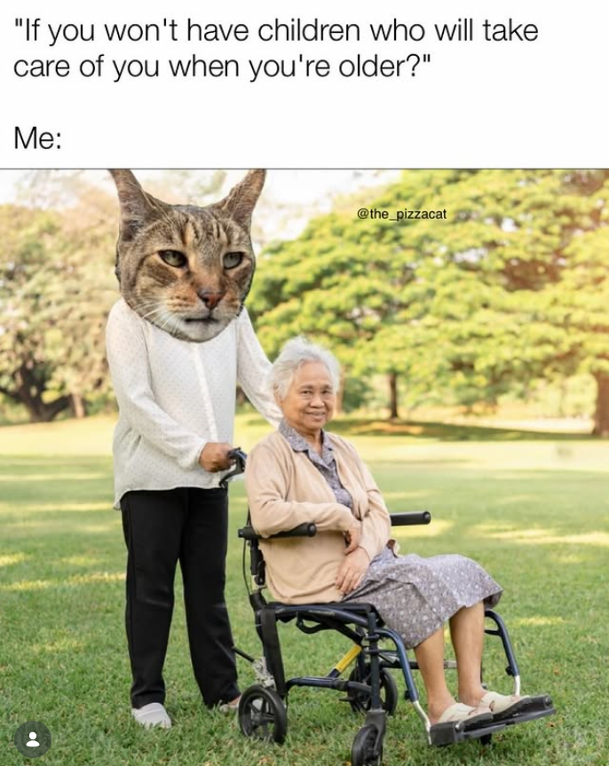 "If you won't have children who will take care of you when you're older?" Me: @the_pizzacat