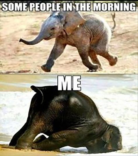 SOME PEOPLE IN THE MORNING ME