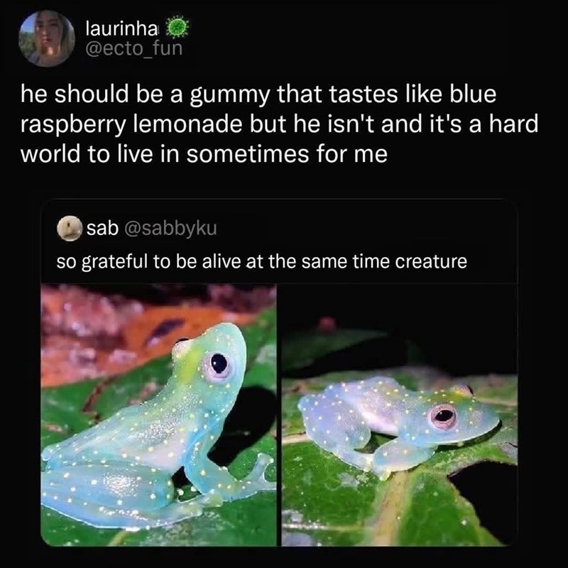 laurinha @ecto_fun he should be a gummy that tastes like blue raspberry lemonade but he isn't and it's a hard world to live in sometimes for me sab @sabbyku so grateful to be alive at the same time creature