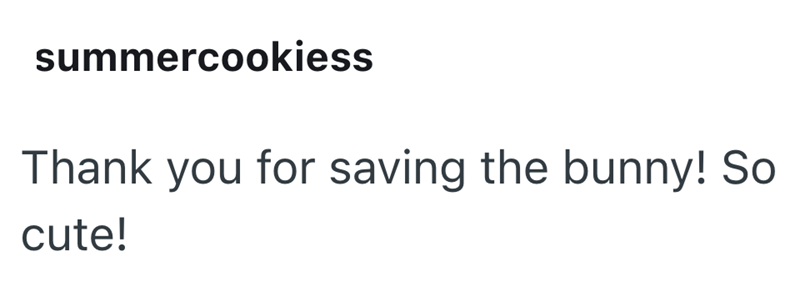 summercookiess Thank you for saving the bunny! So cute!