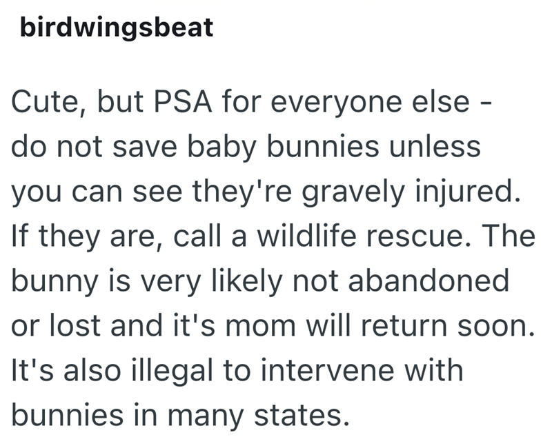 birdwingsbeat Cute, but PSA for everyone else - do not save baby bunnies unless you can see they're gravely injured. If they are, call a wildlife rescue. The bunny is very likely not abandoned or lost and it's mom will return soon. It's also illegal to intervene with bunnies in many states.