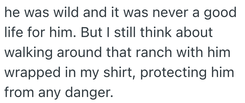 he was wild and it was never a good life for him. But I still think about walking around that ranch with him wrapped in my shirt, protecting him from any danger.