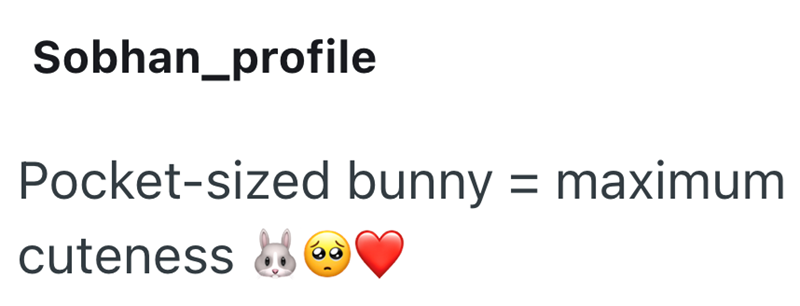 Sobhan_profile Pocket-sized bunny = maximum cuteness