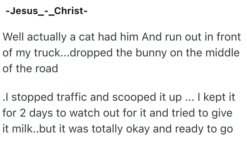 -Jesus_-_Christ- Well actually a cat had him And run out in front of my truck...dropped the bunny on the middle of the road .I stopped traffic and scooped it up ... I kept it for 2 days to watch out for it and tried to give it milk..but it was totally okay and ready to go