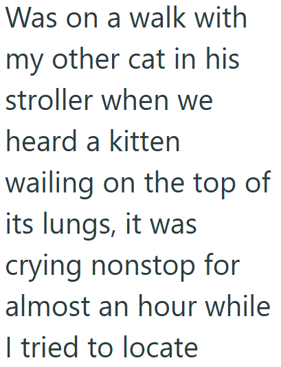 Was on a walk with my other cat in his stroller when we heard a kitten wailing on the top of its lungs, it was crying nonstop for almost an hour while I tried to locate