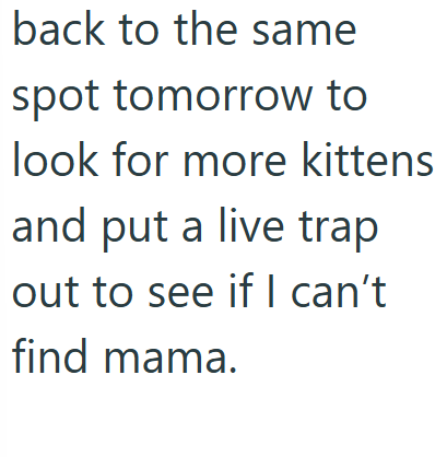 back to the same spot tomorrow to look for more kittens and put a live trap out to see if I can't find mama.