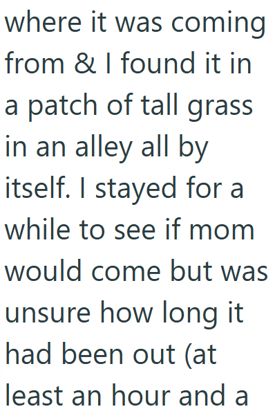 where it was coming from & I found it in a patch of tall grass in an alley all by itself. I stayed for a while to see if mom would come but was unsure how long it had been out (at least an hour and a