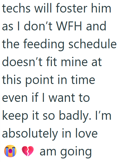 techs will foster him as I don't WFH and the feeding schedule doesn't fit mine at this point in time even if I want to keep it so badly. I'm absolutely in love ➡ am going