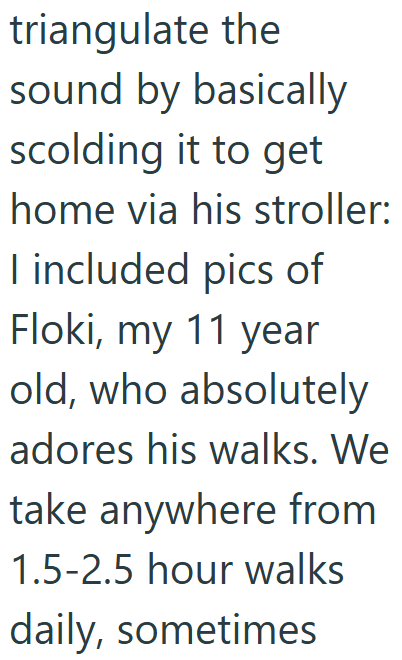 triangulate the sound by basically scolding it to get home via his stroller: I included pics of Floki, my 11 year old, who absolutely adores his walks. We take anywhere from 1.5-2.5 hour walks daily, sometimes