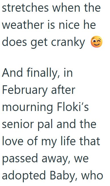 stretches when the weather is nice he does get cranky And finally, in February after mourning Floki's senior pal and the love of my life that passed away, we adopted Baby, who