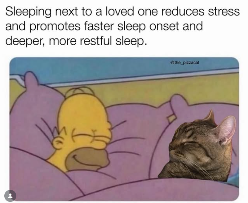 Sleeping next to a loved one reduces stress. and promotes faster sleep onset and deeper, more restful sleep. @the_pizzacat
