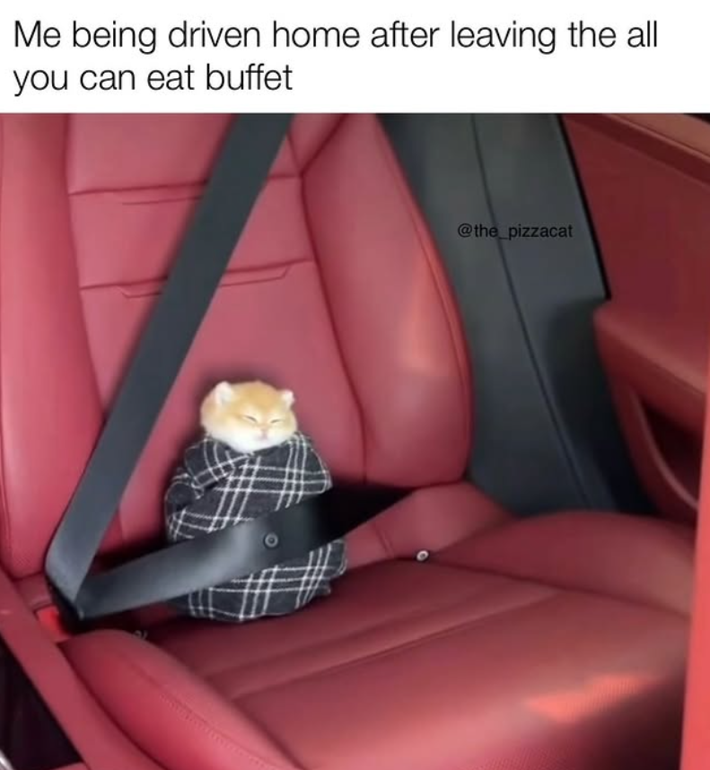 Me being driven home after leaving the all you can eat buffet @the_pizzacat