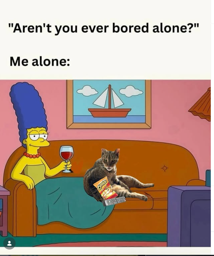 "Aren't you ever bored alone?" Me alone: Do Cheetas