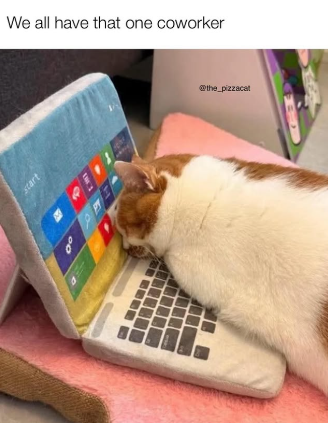 We all have that one coworker start 00 D @the_pizzacat B
