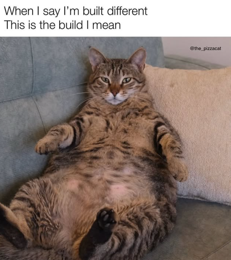 When I say I'm built different This is the build I mean @the_pizzacat