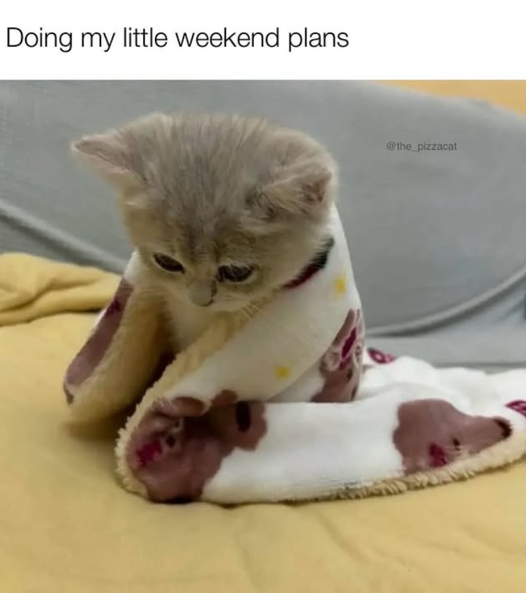 Doing my little weekend plans @the_pizzacat