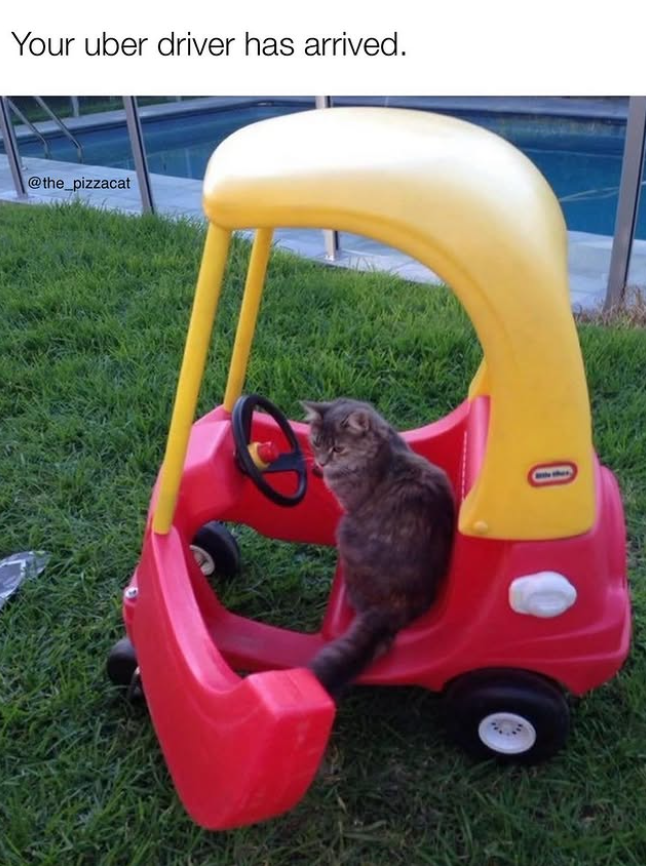 Your uber driver has arrived. @the_pizzacat