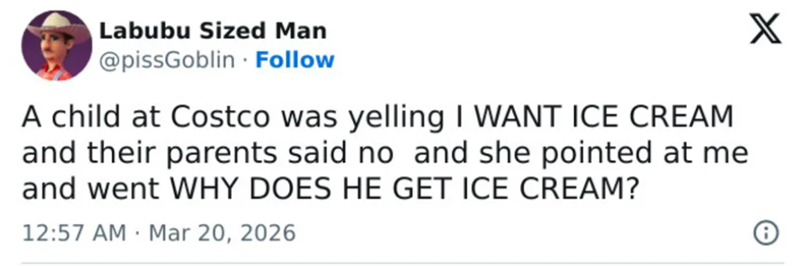 Labubu Sized Man @pissGoblin Follow A child at Costco was yelling I WANT ICE CREAM and their parents said no and she pointed at me and went WHY DOES HE GET ICE CREAM? 12:57 AM Mar 20, 2026 . X