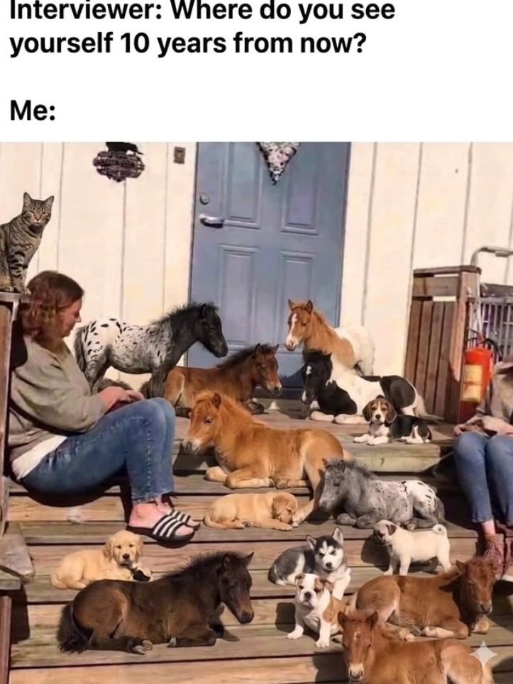 Interviewer: Where do you see yourself 10 years from now? Me: