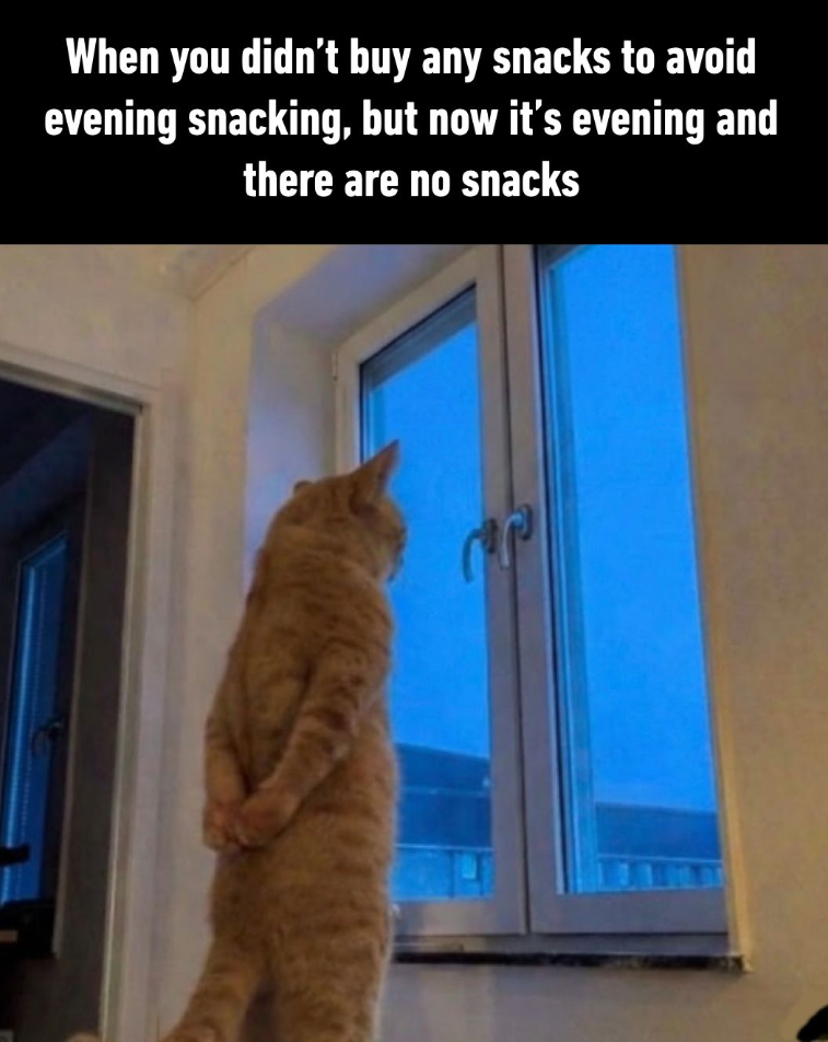 When you didn't buy any snacks to avoid evening snacking, but now it's evening and there are no snacks