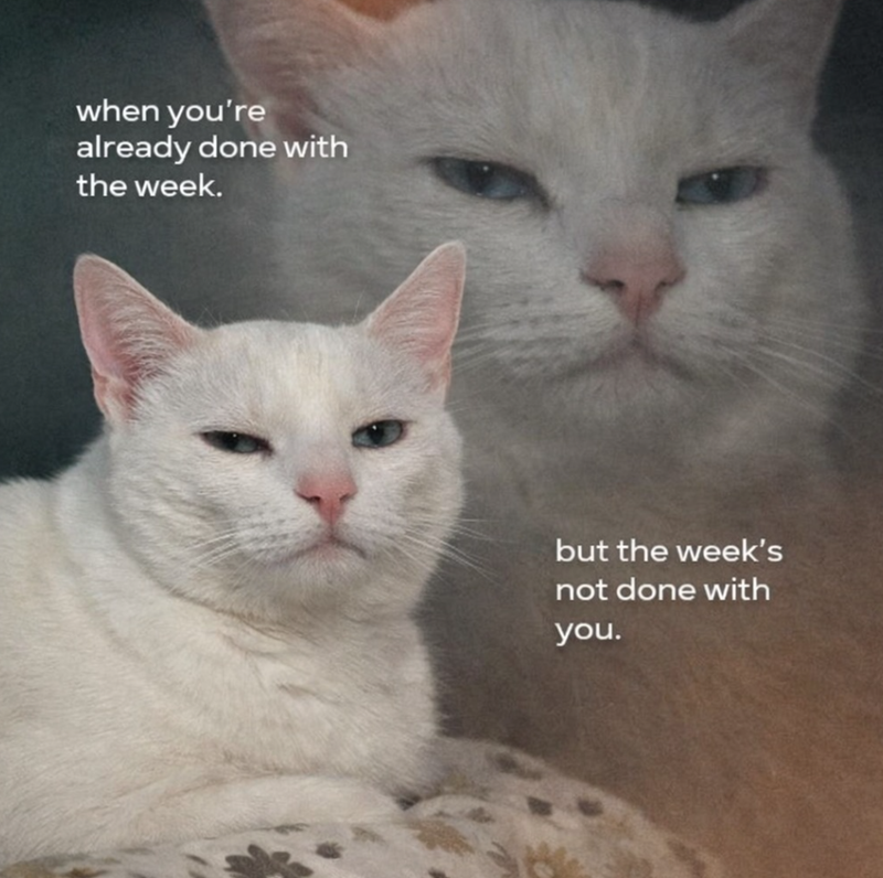 when you're already done with the week. but the week's not done with you.