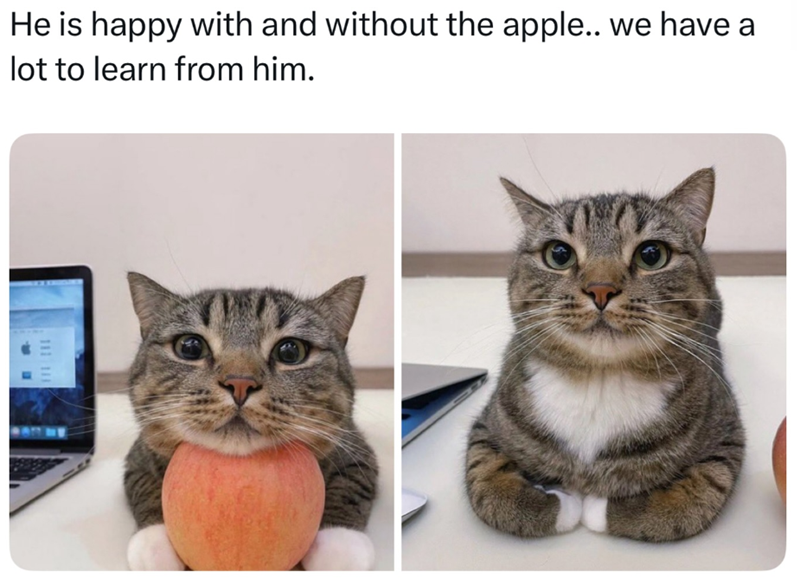 He is happy with and without the apple.. we have a lot to learn from him. 111 111