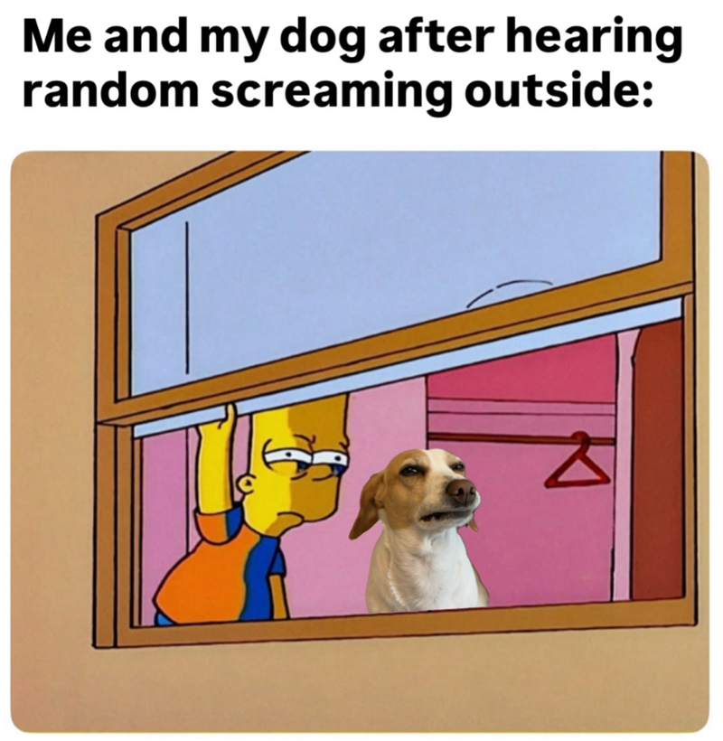 Me and my dog after hearing random screaming outside: