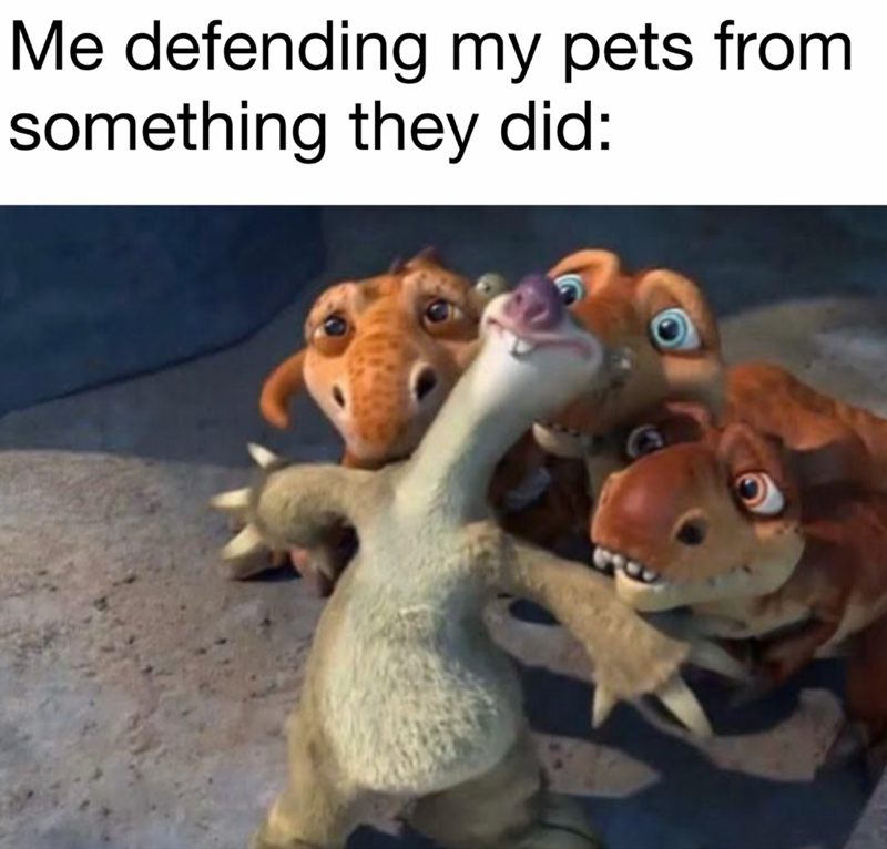 Me defending my pets from something they did: