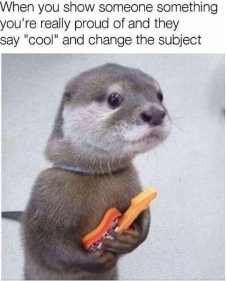 When you show someone something you're really proud of and they say "cool" and change the subject