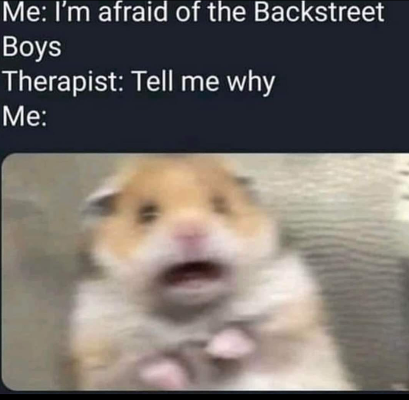 Me: I'm afraid of the Backstreet Boys Therapist: Tell me why Me:
