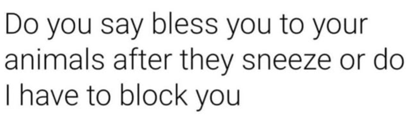 Do you say bless you to your animals after they sneeze or do I have to block you