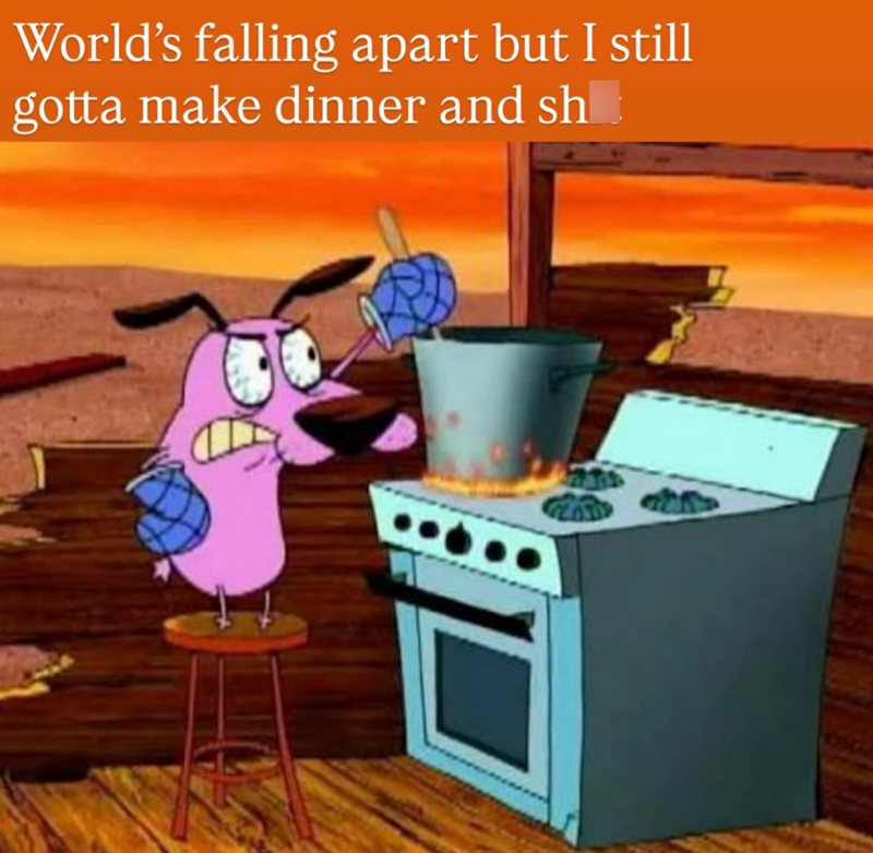 World's falling apart but I still gotta make dinner and sh