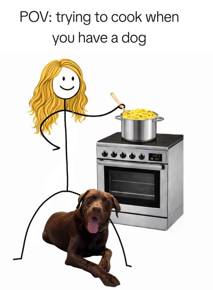 POV: trying to cook when you have a dog DO